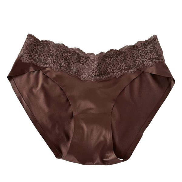 SILK LACE SEAMLESS BRIEF — 5 Pack