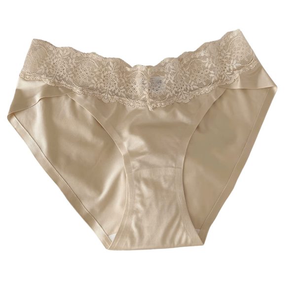 SILK LACE SEAMLESS BRIEF — 5 Pack